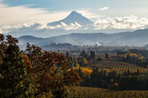 Landscape-Scenic Prints: USA, Oregon. Mount Hood autumn landscape scenery