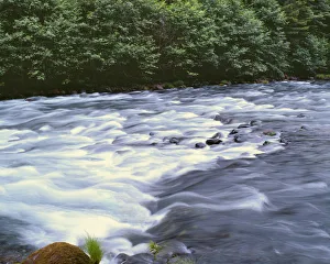 Images Dated 6th September 2018: USA, Oregon, Mount Hood National Forest. Upper reaches of the Clackamas River