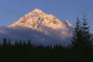 USA, Oregon. Mount Hood National Forest, evening light defines fresh autumn snowfall