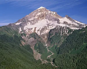 Images Dated 7th July 2017: USA, Oregon. Mount Hood National Forest, Mount Hood Wilderness, west side of Mount Hood