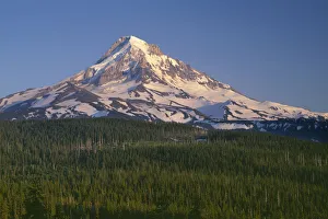 Images Dated 5th September 2018: USA, Oregon. Mount Hood National Forest, evening light on north side of Mound Hood