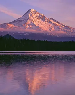 USA, Oregon, Mount Hood National Forest. Sunset light reddens north side of Mount