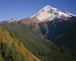 Images Dated 5th September 2018: USA, Oregon, Mount Hood National Forest. Mount Hood Wilderness, West side of Mount Hood