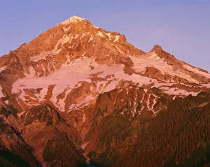 Images Dated 7th July 2017: USA, Oregon. Mount Hood National Forest, Mount Hood Wilderness, west side of Mount