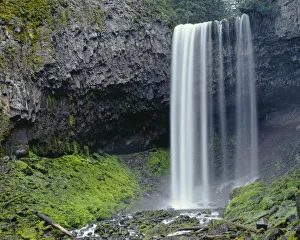 Images Dated 7th July 2017: USA, Oregon. Mount Hood National Forest, Tamanawas Falls with moss-covered rocks