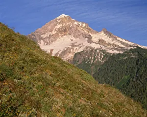Images Dated 7th July 2017: USA, Oregon, Mount Hood National Forest. Mount Hood Wilderness, West side of Mount Hood