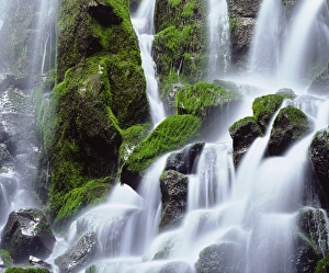 Images Dated 6th May 2014: USA; Oregon; Mount Hood; Ramona Falls