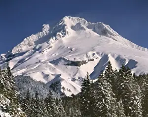 Mount Hood Prints: USA, Oregon, Mt Hood. Afternoon light creates long shadows on the deep snow of Mt Hood