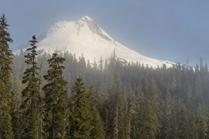 Images Dated 30th April 2016: USA, Oregon. Mt. Hood landscape. Credit as: Don Grall / Jaynes Gallery / DanitaDelimont