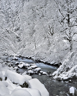 Images Dated 14th September 2015: USA, Oregon, Mt Hood National Forest. Snow on Boulder Creek