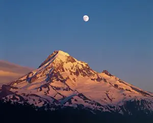 Height Prints: USA, Oregon, Mt Hood. Sunset creates alpenglow on Mt Hood in the Oregon Cascades