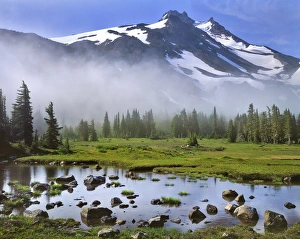 Images Dated 17th March 2015: USA, Oregon, Mt Jefferson Wilderness. Mt Jefferson in early morning light. Credit as