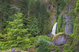 Multnomah County Prints: USA, Oregon, Multnomah County. Wahclella Falls on Tanner Creek in the Columbia River