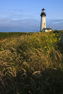 USA, Oregon, Newport, Yaquina Head, historic Yaquina Head Lighthouse