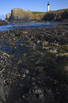 Images Dated 10th July 2012: USA, Oregon, Newport, Yaquina Head, historic Yaquina Head Lighthouse and the tidepools