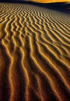 Images Dated 16th November 2007: USA, Oregon, Oregon Dunes National Recreation Area. Dune pattern abstract