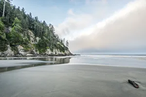 Landscape-Scenic Prints: USA, Oregon. Oswald West State Park, Short Sand Beach