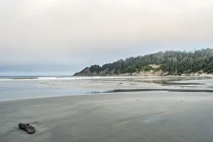 Images Dated 1st May 2019: USA, Oregon. Oswald West State Park, Short Sand Beach