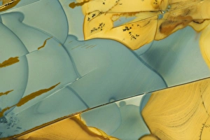 Jasper Prints: USA, Oregon, Owyhee River Valley. Close-up of Morrisonite Jasper. Credit as: Dennis