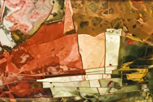 Images Dated 1st April 2009: USA, Oregon, Owyhee River Valley. Close-up of Morrisonite Jasper