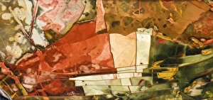 Images Dated 1st April 2009: USA, Oregon, Owyhee River Valley. Close-up of Morrisonite Jasper
