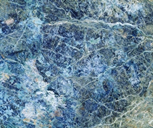 Vein Prints: USA, Oregon, Patterns of a rock. a