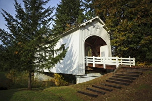 Rick A Brown Prints: USA, Oregon, Pedee, Minnie Ritner Ruiter Wayside, Ritner Creek Bridge, covered bridge