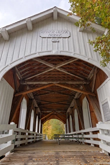 Images Dated 29th October 2012: USA, Oregon, Pedee, Minnie Ritner Ruiter Wayside, Ritner Creek Bridge, covered bridge