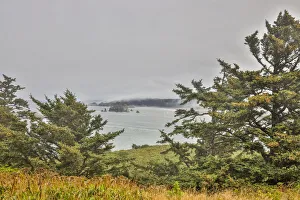 Images Dated 13th December 2021: Usa, Oregon, Port Orford. Cape Blanco Lighthouse, Coast Near Cape Blanco Lighthouse