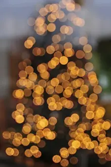 USA, Oregon, Portland. Abstract of lights on holiday Christmas tree