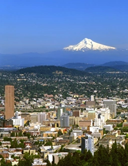 Mount Hood Prints: USA, Oregon, Portland. City skyline & Mt. Hood viewed from the Pittock Mansion