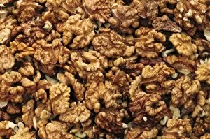 USA, Oregon, Portland. Close-up of walnut meats