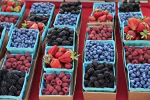 Images Dated 28th February 2017: USA, Oregon, Portland. Display of berries at Farmers Market