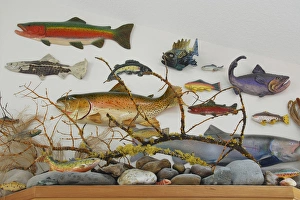 Images Dated 27th August 2007: USA, Oregon, Portland. Eclectic collection of ceramic and wooden fish displayed on wall of home