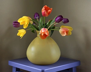 Retro Prints: USA, Oregon, Portland. Fresh-cut tulips in antique glass vase