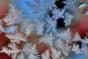 Images Dated 10th December 2009: USA, Oregon, Portland. Ice crystals on window pane