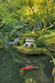 Fish Prints: USA, Oregon, Portland. Japanese Garden scenic