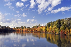 Images Dated 28th February 2017: USA, Oregon, Portland. Johnson Lake and waterfowl in autumn