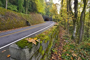 Tunnel Prints: USA, Oregon, Portland. Macleay Park and road in autumn