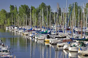 Images Dated 15th March 2017: USA, Oregon, Portland. Sailboats docked in Tomahawk Bay