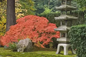 Images Dated 29th October 2008: USA, Oregon, Portland. Stone tower and Japanese maple in Portland Japanese Garden