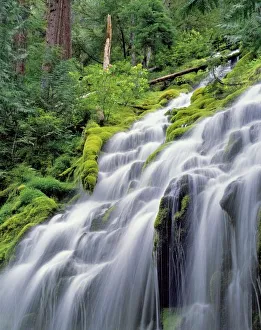 Rushing Prints: USA, Oregon, Proxy