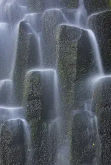 Images Dated 15th July 2013: USA, Oregon, Proxy Falls. Waterfalls over basalt columns