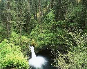 Punch Bowl Falls Prints: USA, Oregon, Punch Bowl Falls, Columbia River Gorge National Scenic Area