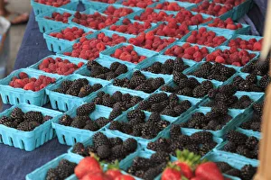 Berry Prints: USA, Oregon, Redmond, Bend. The Bend Farmers Market at Top of Mirror Pond Park in downtown