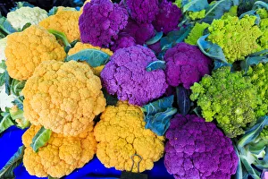 USA, Oregon, Redmond, Bend. The Bend Farmers Market at Top of Mirror Pond Park in downtown