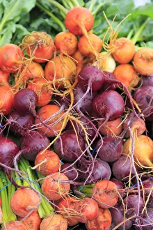 USA, Oregon, Redmond, Bend. The Bend Farmers Market at Top of Mirror Pond Park in downtown