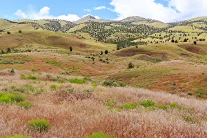 Images Dated 8th June 2017: USA, Oregon, Redmond, Bend, Mitchell. Series of low clay hills striped in colorful