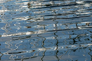 Images Dated 4th September 2024: USA, Oregon. Reflections in Garibaldi bay along the Oregon Coast