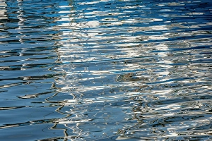 Images Dated 4th September 2024: USA, Oregon. Reflections in Garibaldi bay along the Oregon Coast